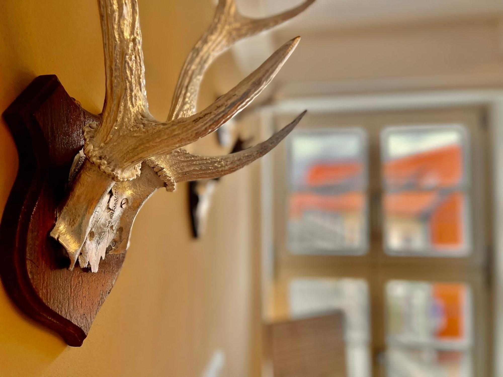 Homelikestay: Ferienwohnungen - Wernigerode - Wlan - Bestlage - Liebevolle Einrichtung 외부 사진